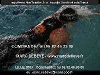 17981 photo